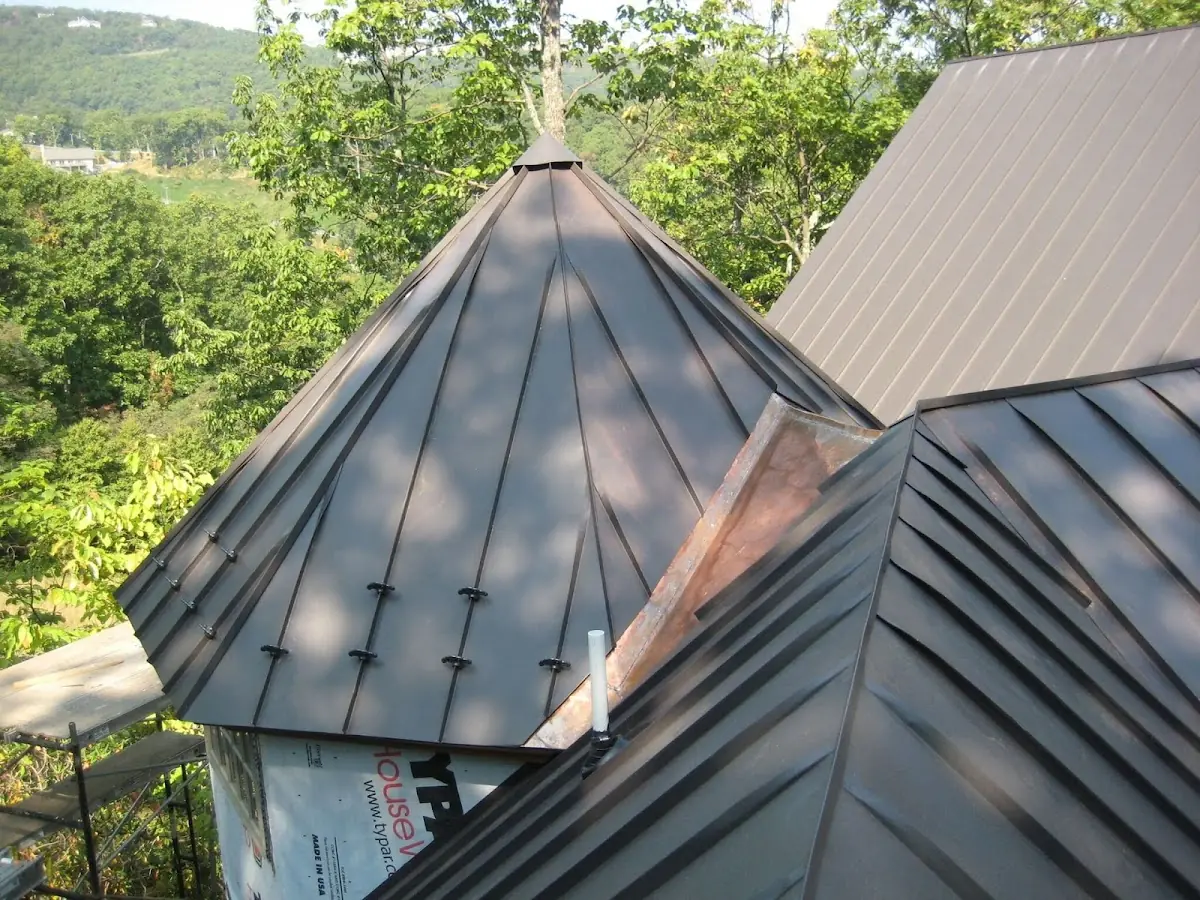 Professional Gutter Cleaning by Craftsman Roofing in San Ramon